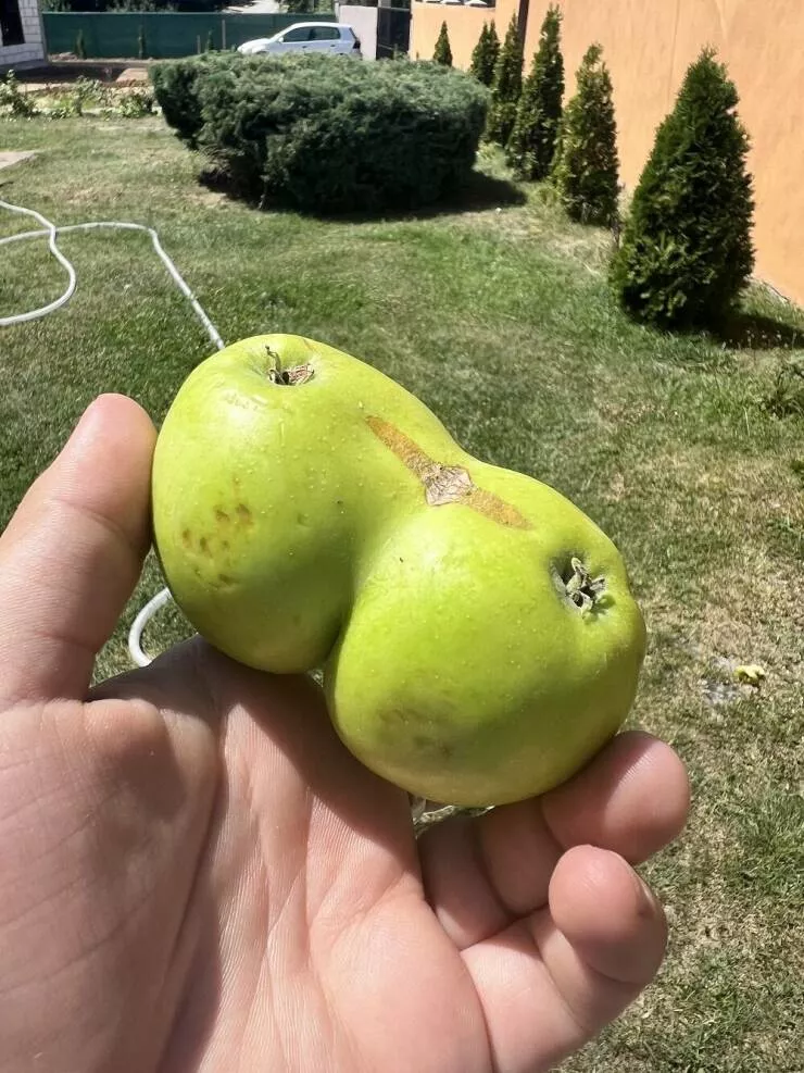 Picdump 884 - #71  Picdump 884 - #71