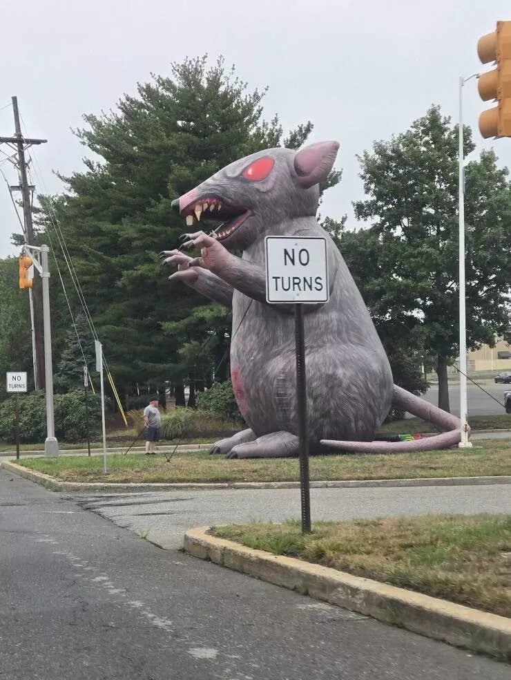 Picdump 884 - #73  Picdump 884 - #73