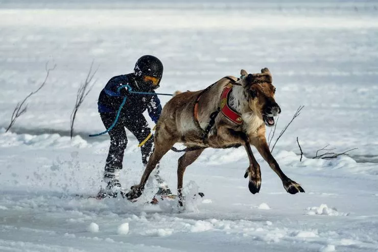 Picdump 885 - #12 
