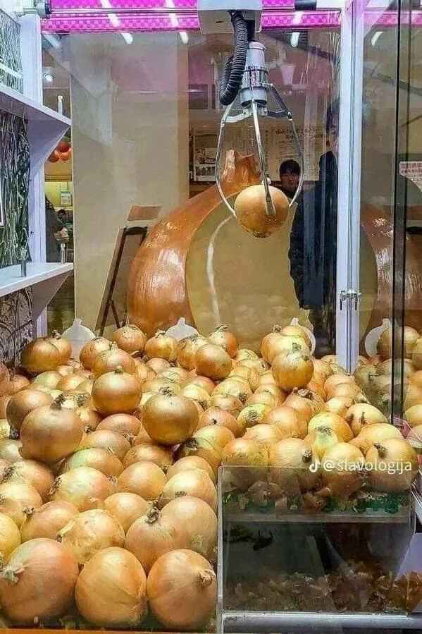 Picdump 885 - #28 