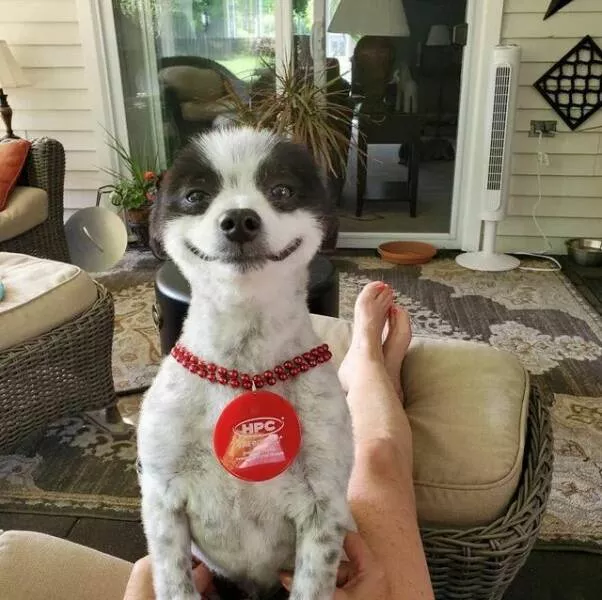 Picdump 885 - #3 