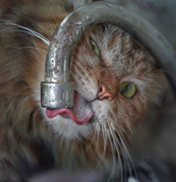 Picdump 885 - #34 