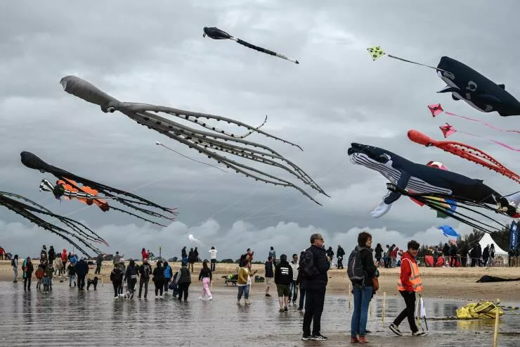 Picdump 885 - #36 