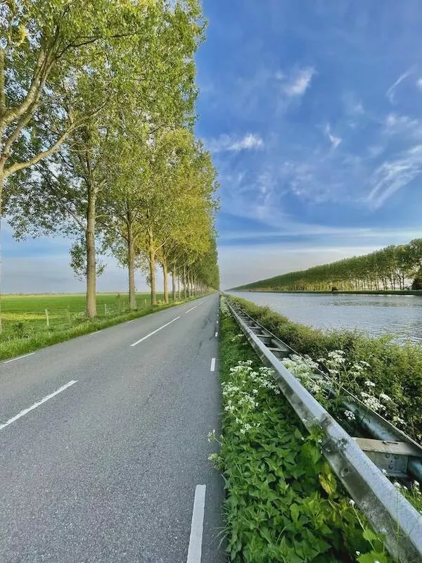 Trouver la beaute dans les petits moments de la vie - #12 C'est une seule et même photo.