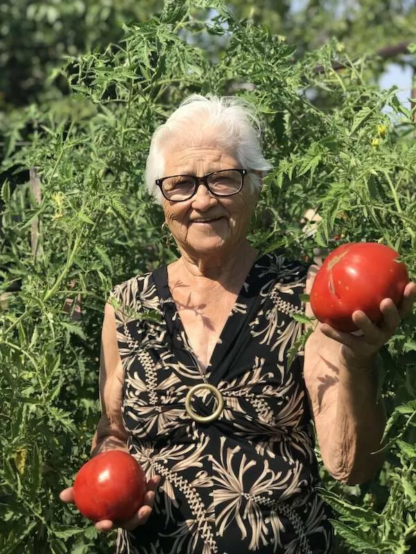 Finding beauty in lifes simple joys - #6 My Nonna insisted I post this online so everyone in Italy can see how huge my tomatoes have grown.