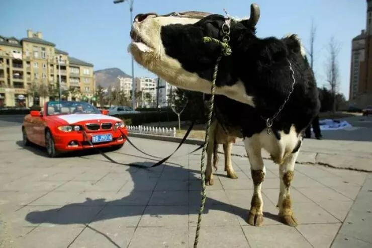Picdump 886 - #18 
