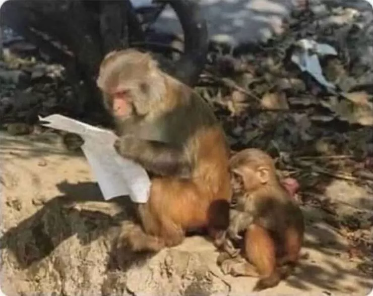 Picdump 886 - #29 