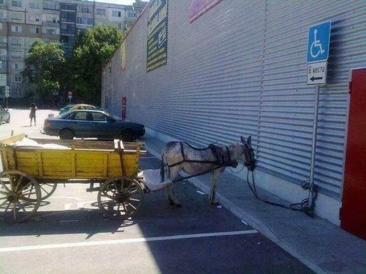 Picdump 886 - #47 