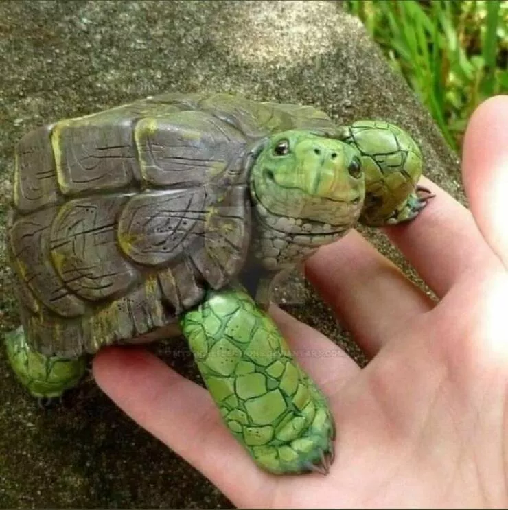 Picdump 886 - #50 