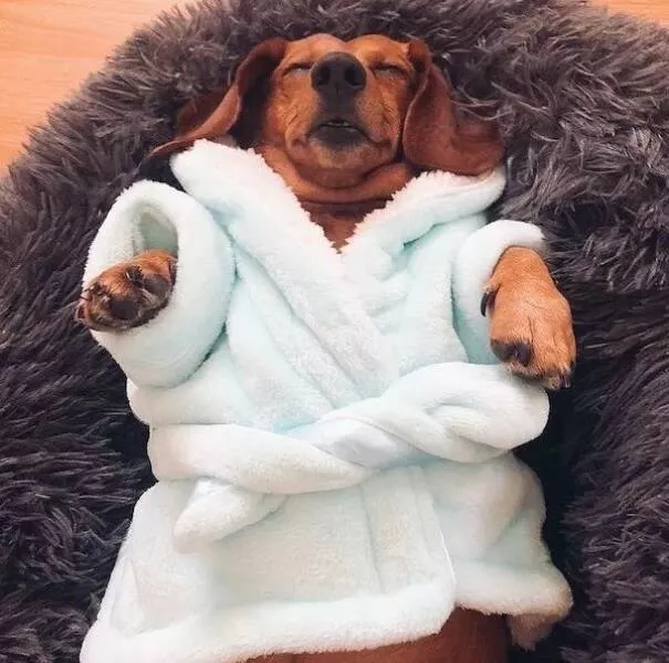 Picdump 886 - #8 