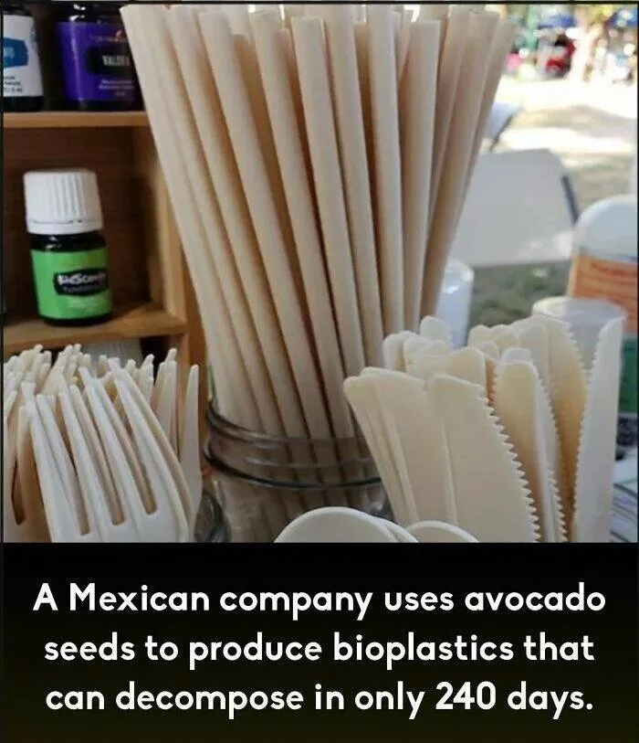 Mind blowing facts you didnt know you needed to know - #1 