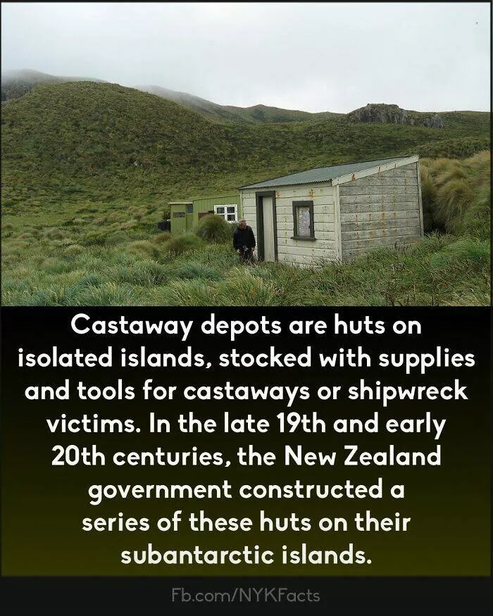 Mind blowing facts you didnt know you needed to know - #13 