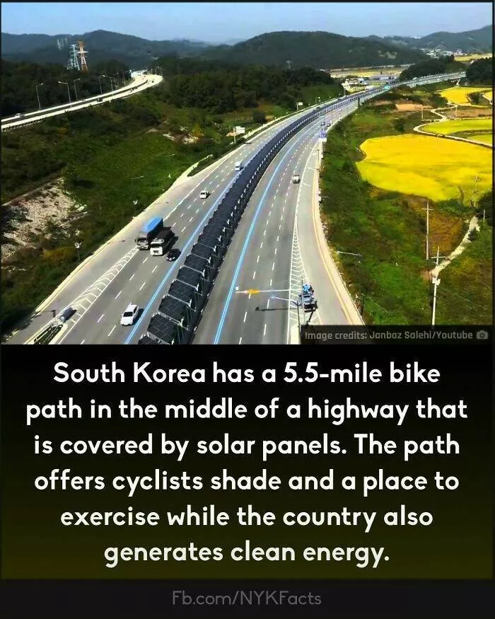 Mind blowing facts you didnt know you needed to know - #15 