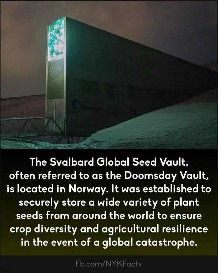 Mind blowing facts you didnt know you needed to know - #33 