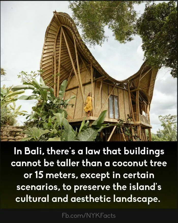Mind blowing facts you didnt know you needed to know - #35 