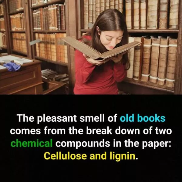 Mind blowing facts you didnt know you needed to know - #38 