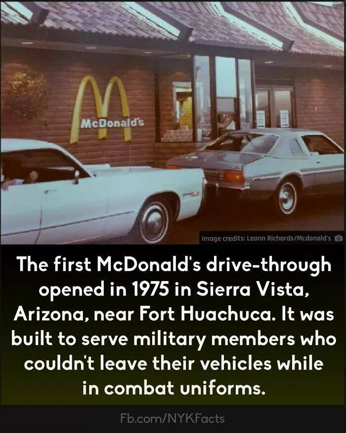 Mind blowing facts you didnt know you needed to know - #39 