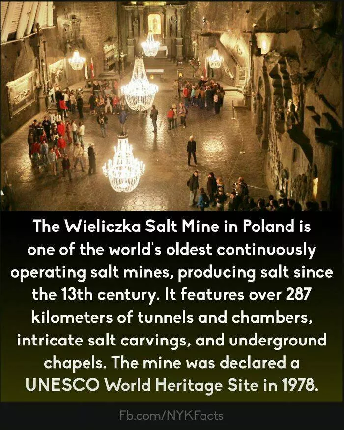 Mind blowing facts you didnt know you needed to know - #47  Mind blowing facts you didnt know you needed to know - #47