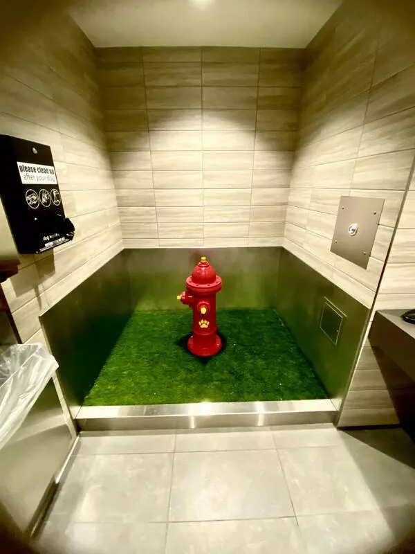 Instantanes insolites qui captiveront votre imagination - #15 Une salle de bain pour chiens dans un aéroport.