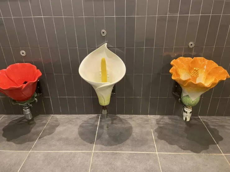 Unusual snapshots that will capture your imagination - #23 Urinals at a garden center in Ireland, because even garden centers have standards.
