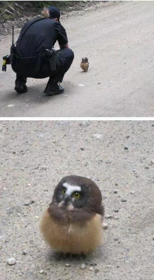 Picdump 887 - #13 