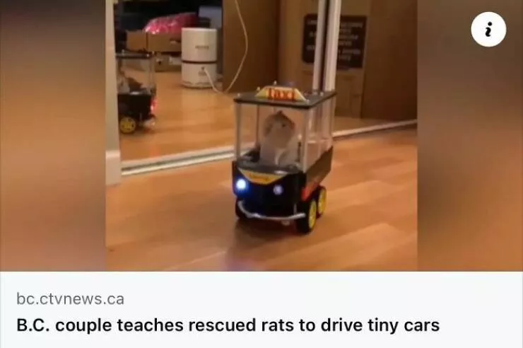 Jaw dropping news stories that defy belief - #15 