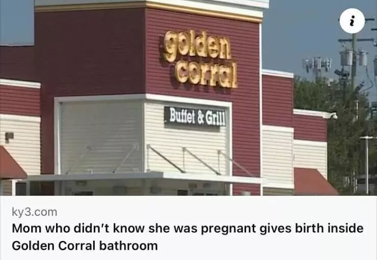 Jaw dropping news stories that defy belief