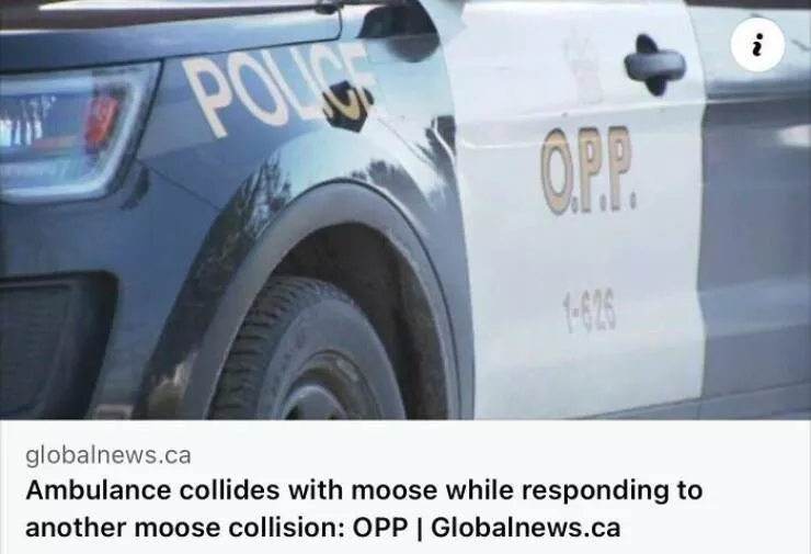 Jaw dropping news stories that defy belief - #26 