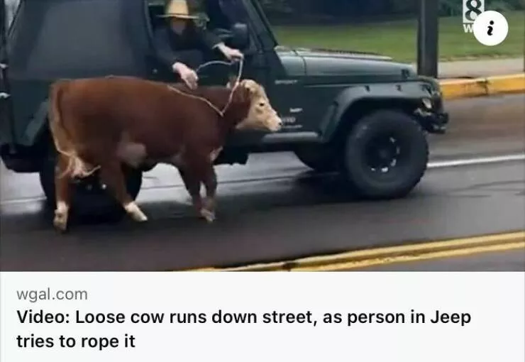 Jaw dropping news stories that defy belief - #29 
