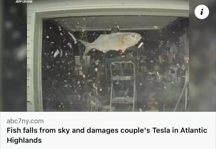 Jaw dropping news stories that defy belief - #3 