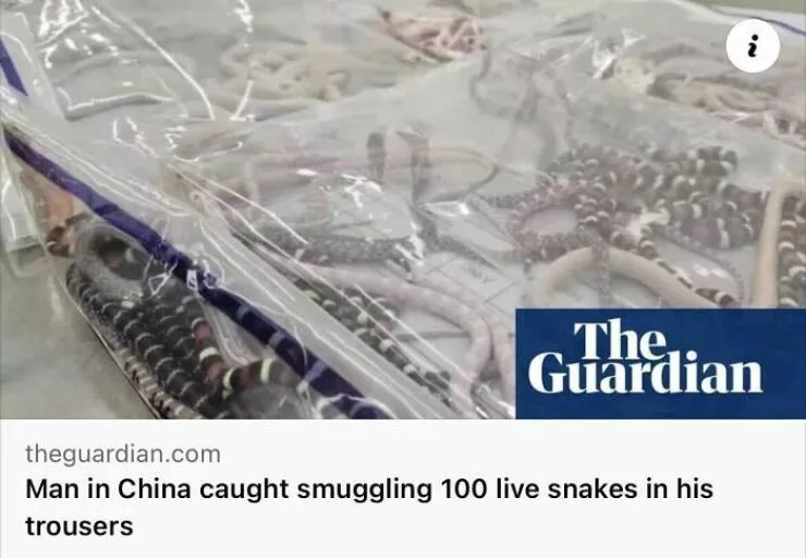 Jaw dropping news stories that defy belief - #9 