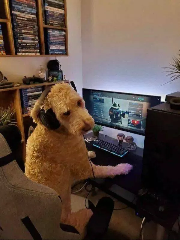 Moments epiques pour gamers que vous ne devriez pas manquer - #18 