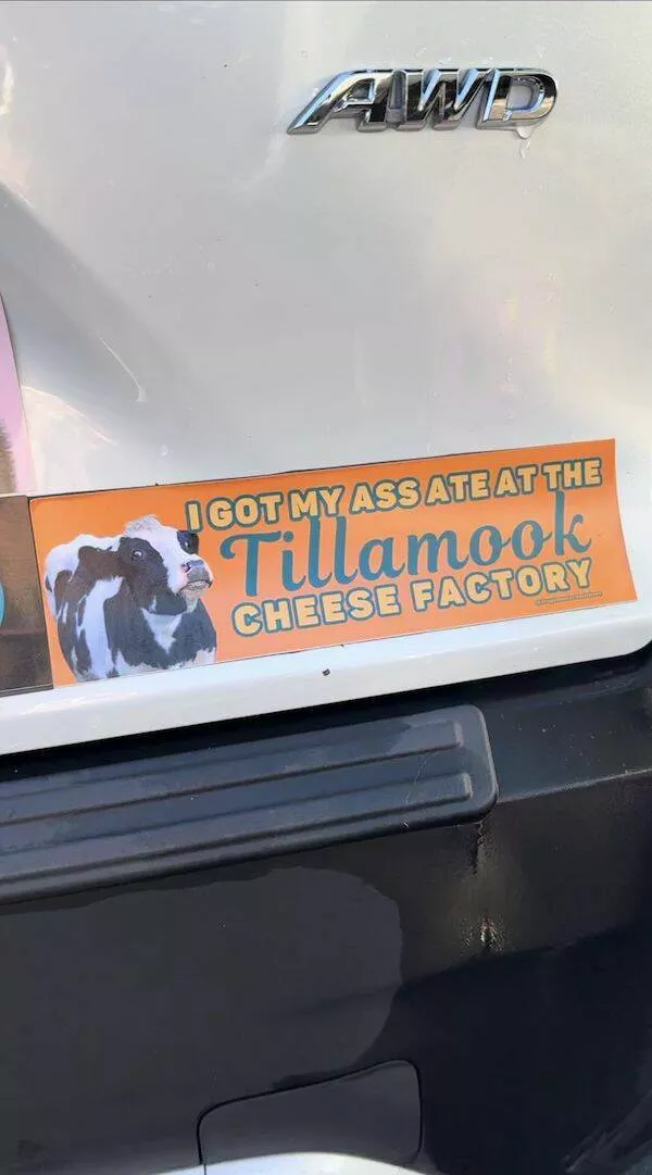 Side splitting bumper stickers that will make you smile - #14 
