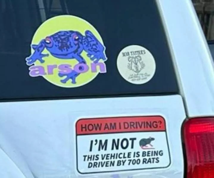 Side splitting bumper stickers that will make you smile - #25 