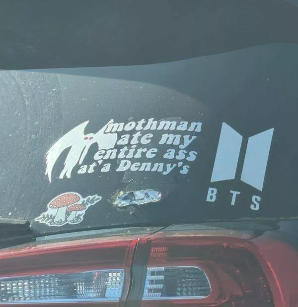 Side splitting bumper stickers that will make you smile - #27 