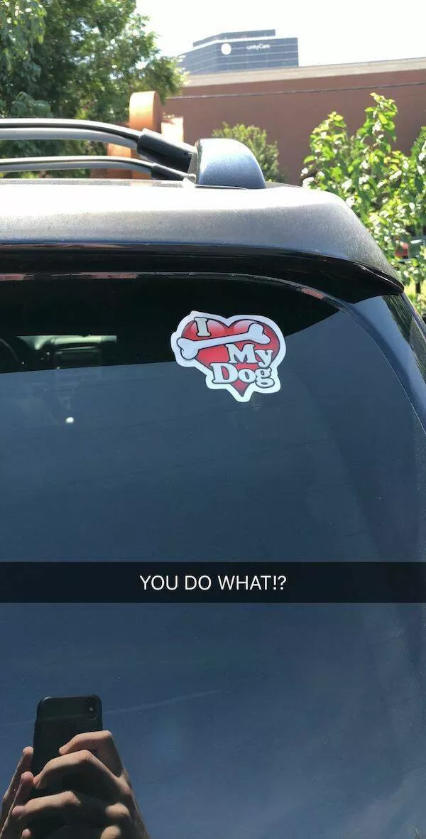 Side splitting bumper stickers that will make you smile - #29 