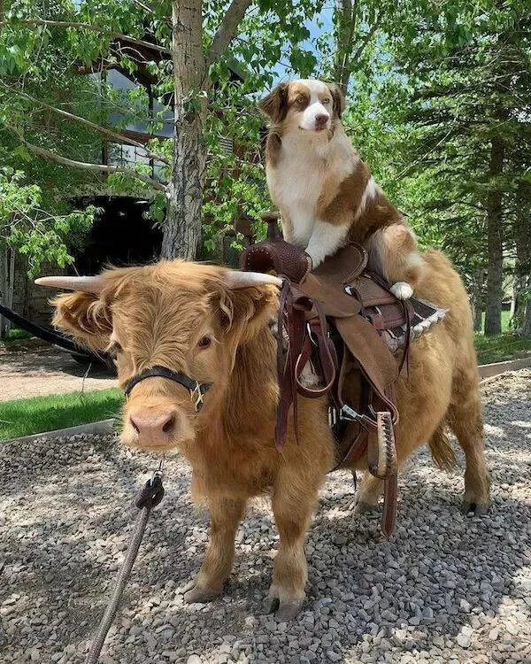 Picdump 888 - #12 