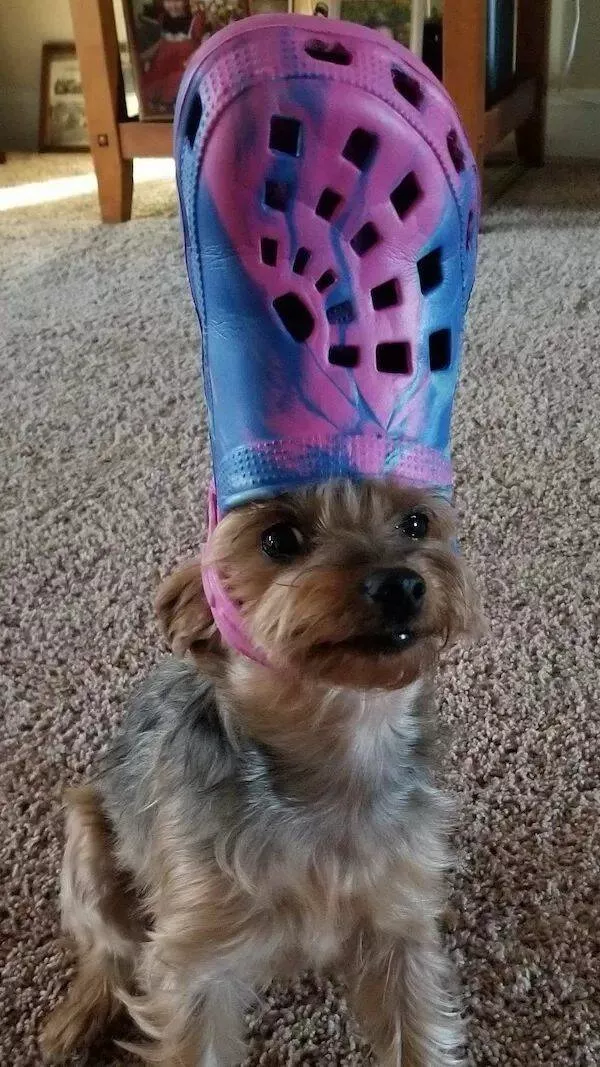 Picdump 888 - #28 