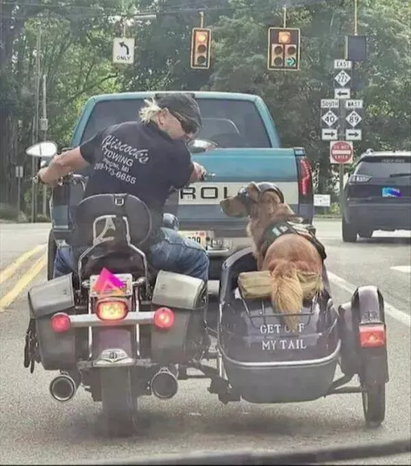 Picdump 888 - #33 
