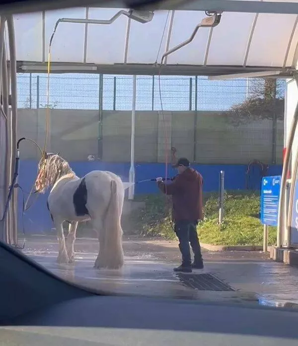 Picdump 888 - #42 