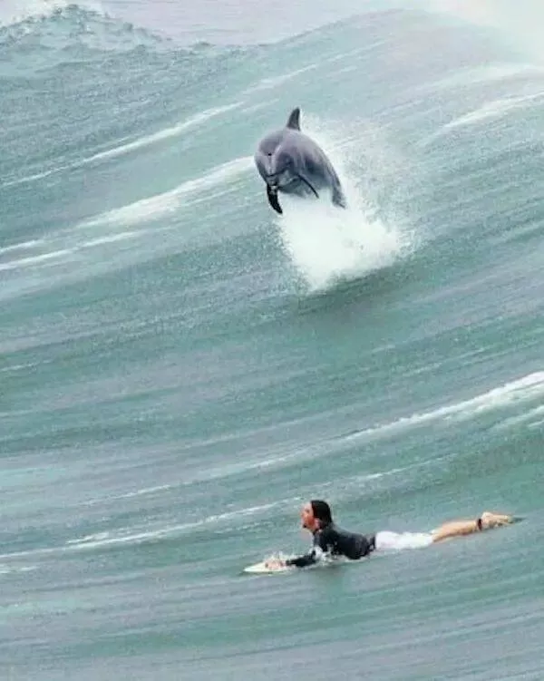Picdump 888 - #44 