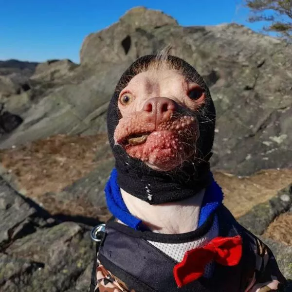Picdump 888 - #53 