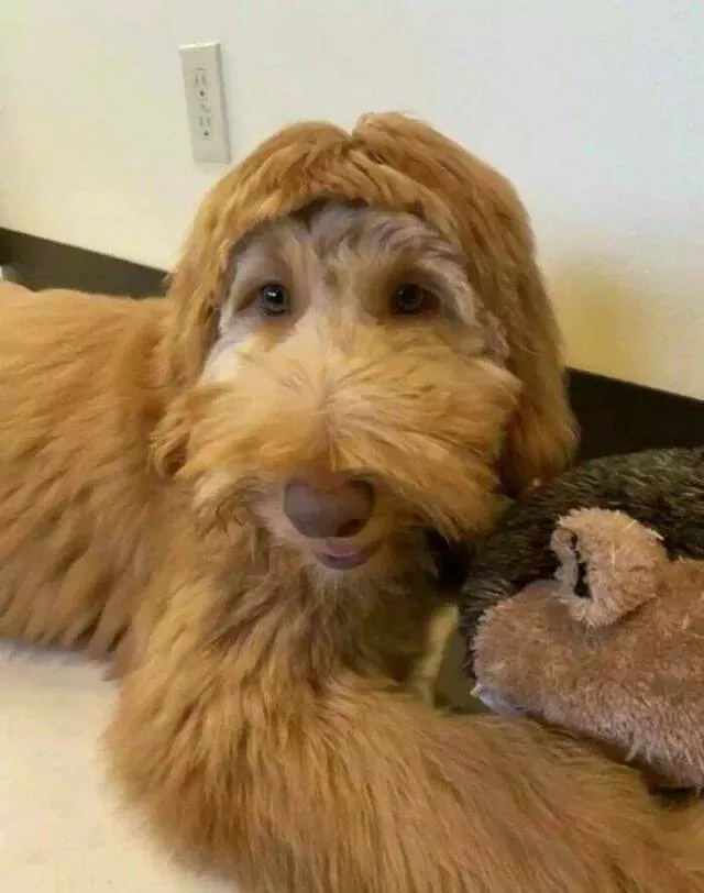 Picdump 888 - #60 