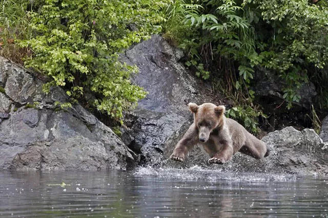 Pictures taken at the right time - #1 