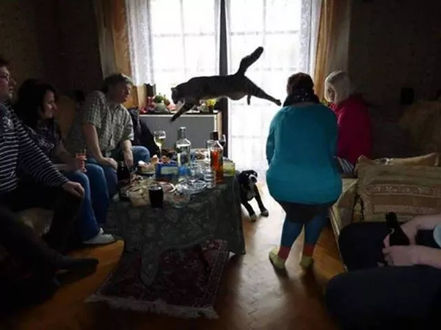 Pictures taken at the right time - #13 