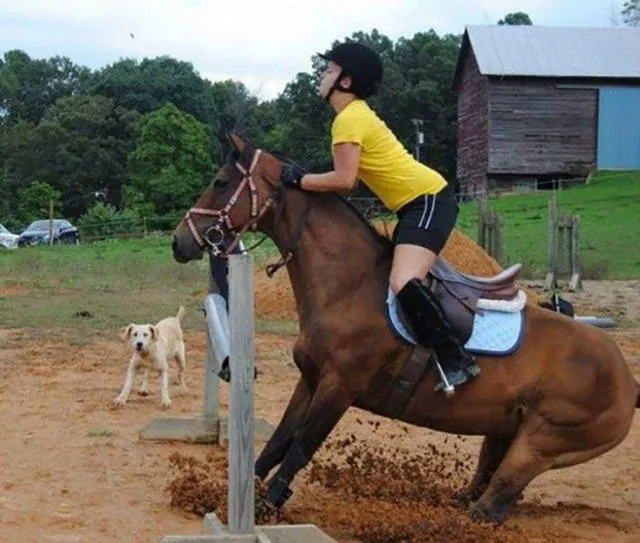 Pictures taken at the right time - #24 
