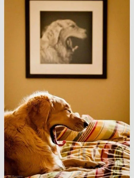Pictures taken at the right time - #36 