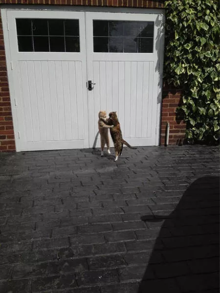 Pictures taken at the right time - #37 