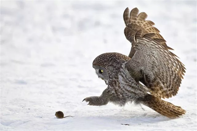 Pictures taken at the right time - #6 