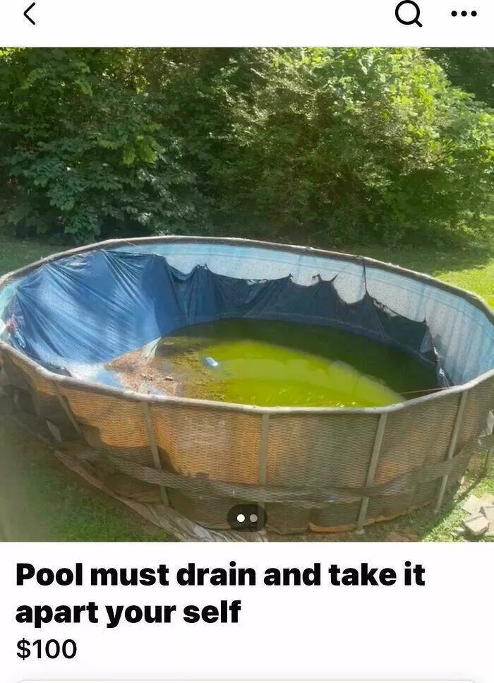 Strangest things ever listed for sale online - #27 